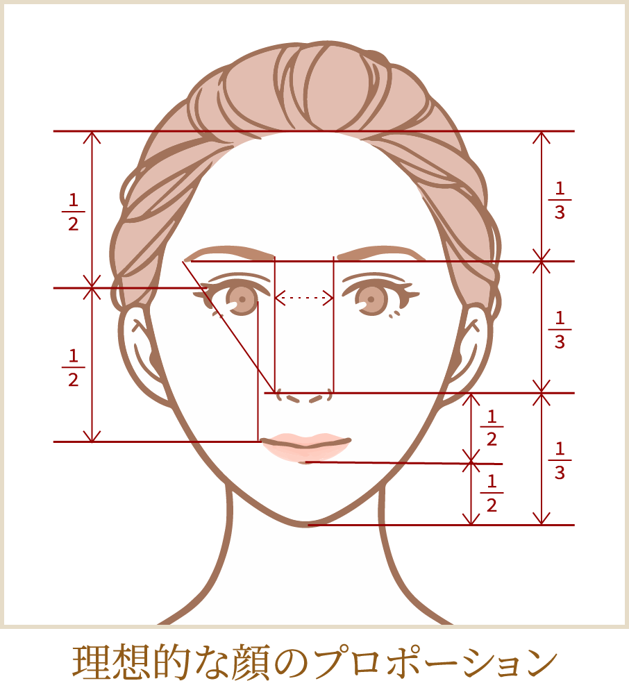 理想的な顔のプロポーション